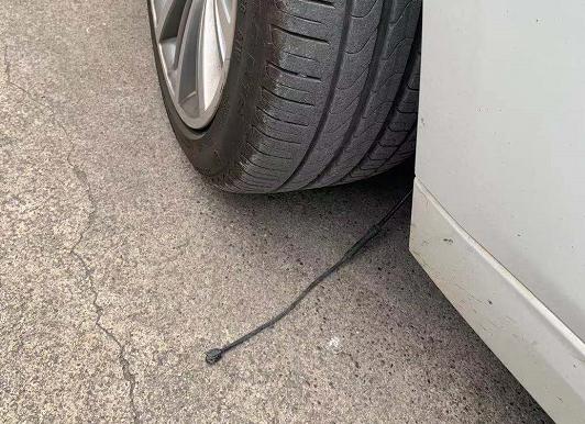 DƬ
